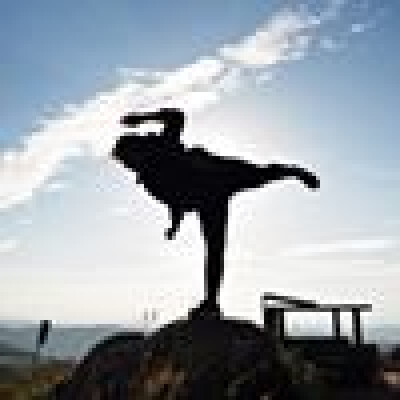 Lisa  zoekt een Kamer / Huurwoning / Studio / Appartement in Leiden