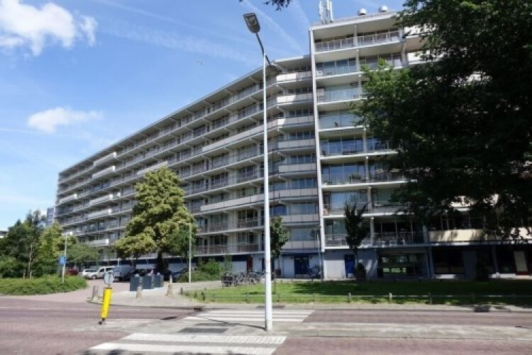 Arendshorst, Leiden