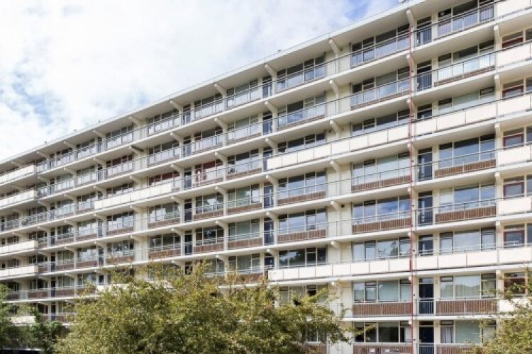 Arendshorst, Leiden