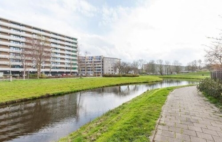 Cruquiuslaan, Leiden