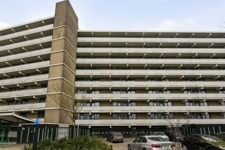 Cruquiuslaan, Leiden