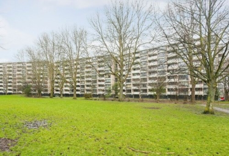 Jan Luykenlaan, Leiden