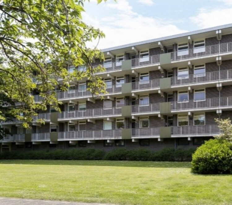 Kennedylaan, Leiden