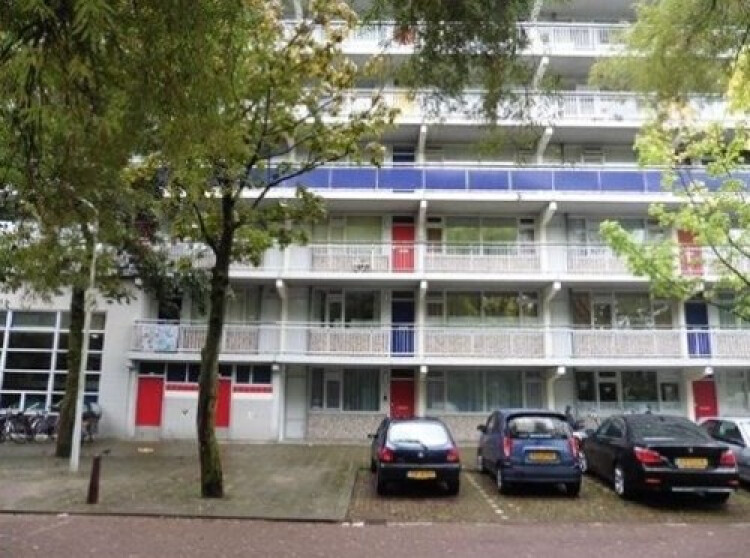 Milanenhorst, Leiden