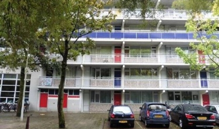 Milanenhorst, Leiden