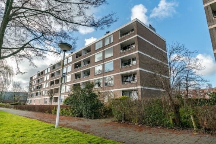 Paramaribostraat, Leiden