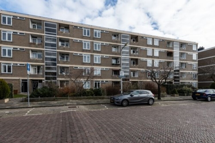 Paramaribostraat, Leiden