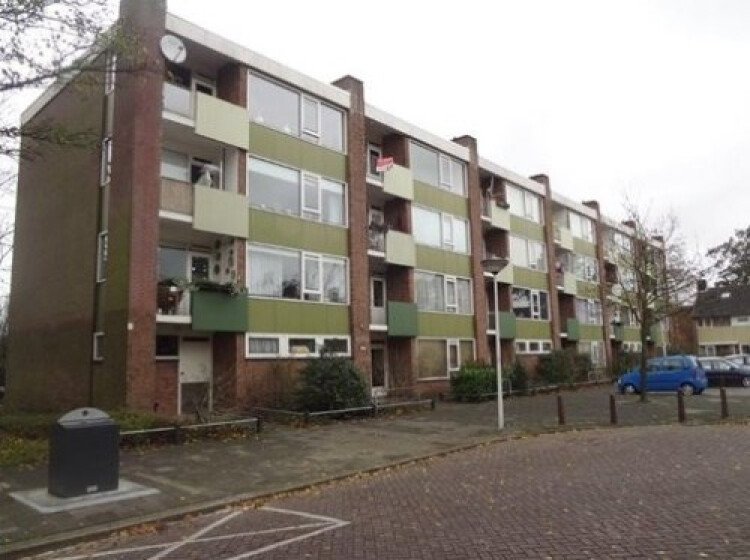 Van Banchemhof, Leiden