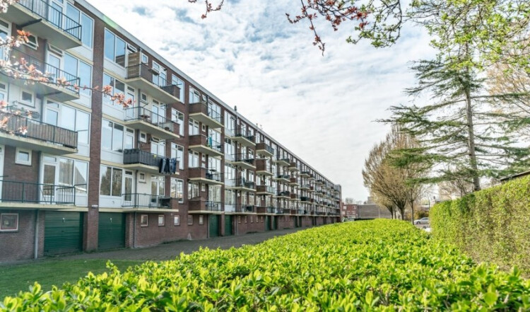 Verdistraat, Leiden