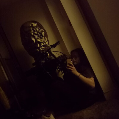 Calliope  zoekt een Kamer in Leiden