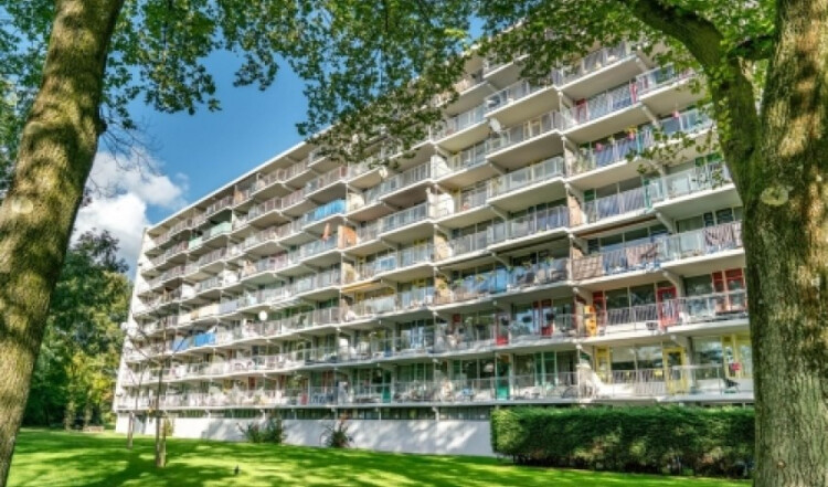 Zijldonk, Leiden