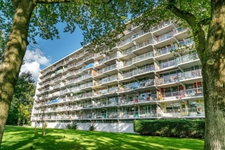 Zijldonk, Leiden